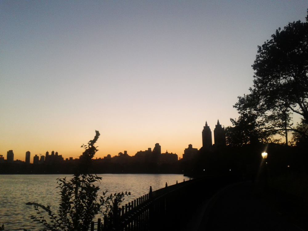 Central Park // Foto: Thomas Aaby Berdal - IWCFF central park